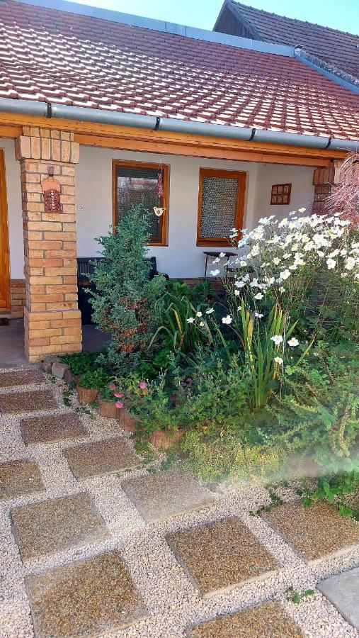 Mandula Apartman Szegedin Exterior foto